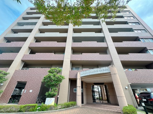 【外観】 | ナポレ久留米けやき通り☆仲介手数料無料☆