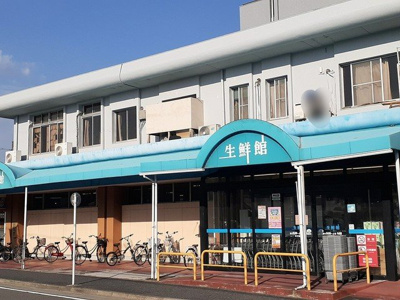 【周辺】 | メゾン苗田 | 生鮮館やまひこまで304m