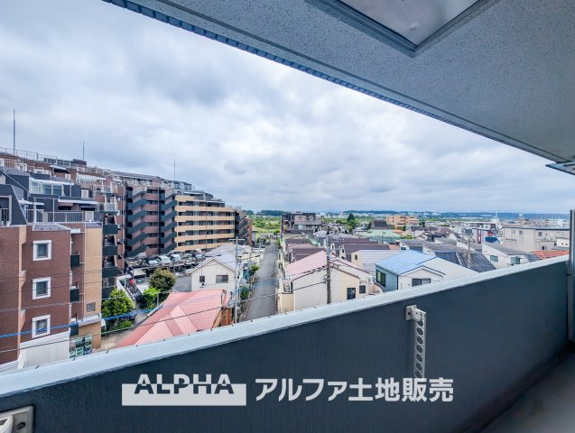 コスモ立川サングレイスの展望