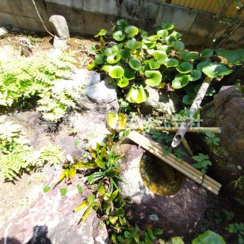 ６５３７５　岐阜市粟野西中古戸建の庭