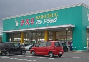【周辺】 | ルミエールＡ | ハシドラッグ南福島店まで900m