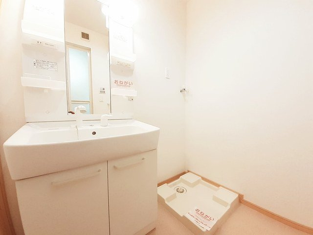 ビッグ　シャトーＥの洗面所