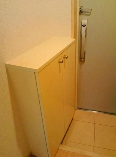 ヴェルト高円寺の玄関