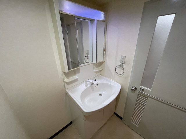 ウェルシー岡本の洗面所