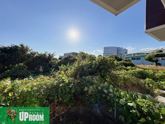 ロワールⅡの展望