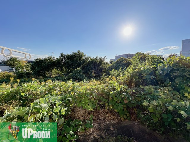 ロワールⅡの展望