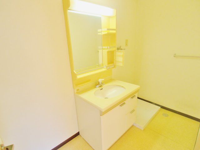 メゾンIDEの洗面所