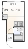 南からの日光が差し込むお部屋