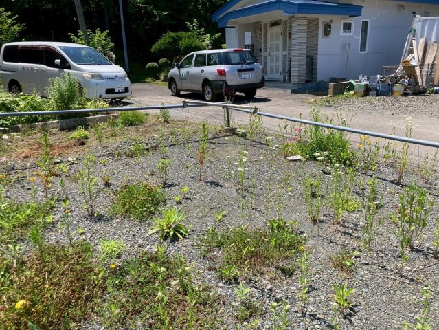 釧路市緑ケ岡5丁目　売土地の外観|お気軽にお問い合わせください♪