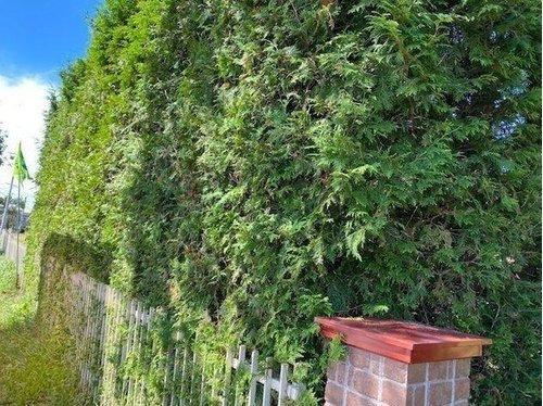 標茶町常盤町 【7DK以上】大型戸建の庭|お庭が好きな方やガーデニング好きの方にもおすすめです♪