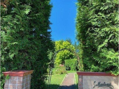 標茶町常盤町 【7DK以上】大型戸建の庭|レンガと緑に彩られた、開放感があります。