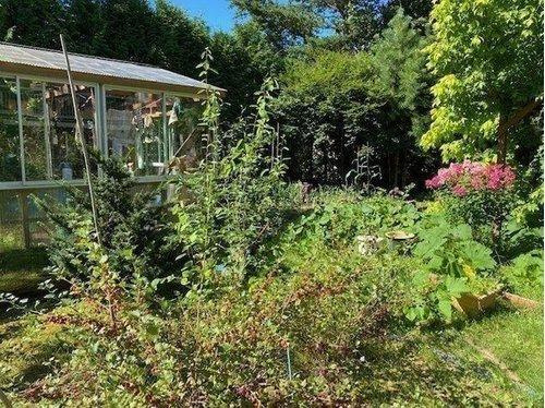 標茶町常盤町 【7DK以上】大型戸建の庭|趣味のガーデニングや家庭菜園が楽しめる、緑豊かです♪