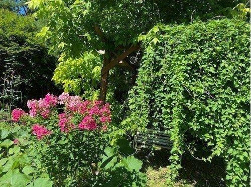 標茶町常盤町 【7DK以上】大型戸建の庭|木陰のベンチで自然を満喫できます。