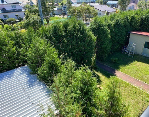 標茶町常盤町 【7DK以上】大型戸建の庭|自然を感じられる、緑豊かな眺望が魅力です。