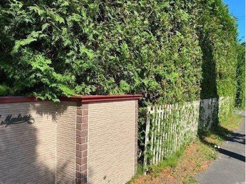 標茶町常盤町 【7DK以上】大型戸建の前面道路含む現地写真|広めの歩道があり、見通しも良い前面道路です。