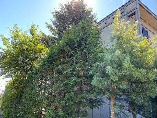 標茶町常盤町 【7DK以上】大型戸建の庭|敷地内に緑が豊富で、四季折々の表情を楽しめます。