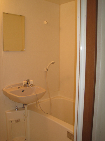 アイリス・コートの独立洗面台