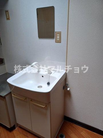 湊一戸建の洗面所|ゆったりとスペースのある洗面所