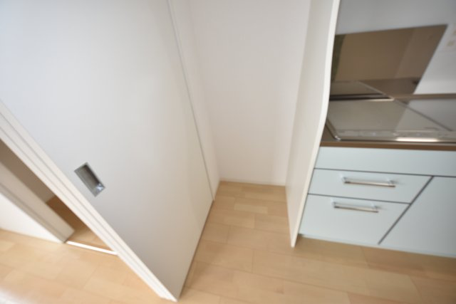 セレニテ本町ルフレ