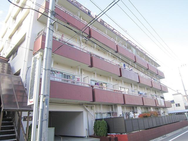 サンライズ蓮根