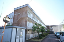 プラムガーデンの画像