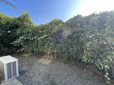 【庭】 | アルトリオ一番館 ** | 【アルトリオ一番館】