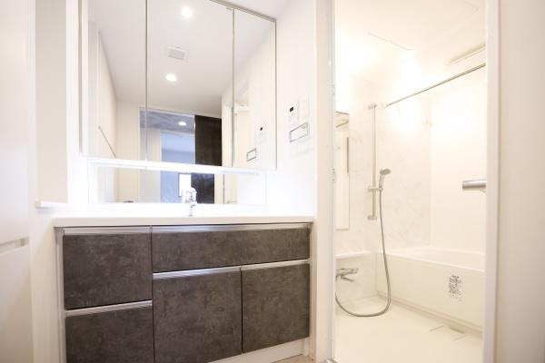 クレアネクスト古国府ザ・タワーの独立洗面台|明るく清潔感のある洗面脱衣所。洗濯やお風呂の準備もスムーズにこなせて、毎日の家事がちょっとラクになりそうです。