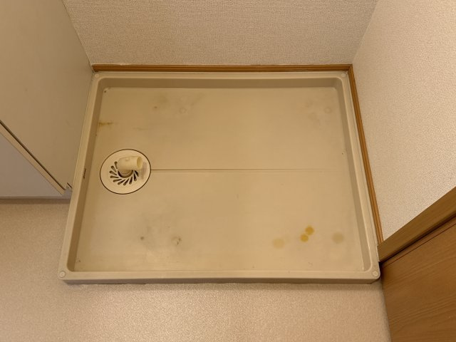 スカイルーム南条のその他
