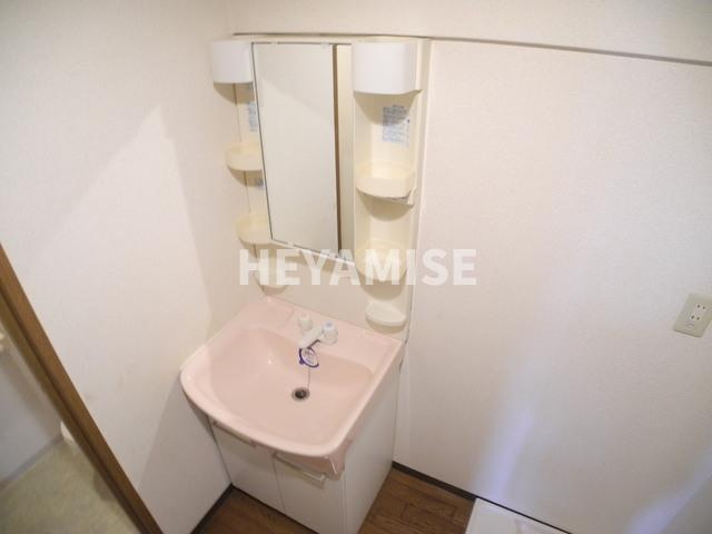 ANNEX31-Ⅵの洗面所|※室内画像は別号室のもの