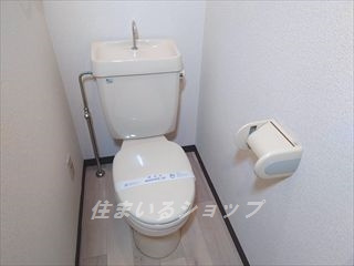 広島市安佐北区落合１丁目の賃貸マンションのトイレ