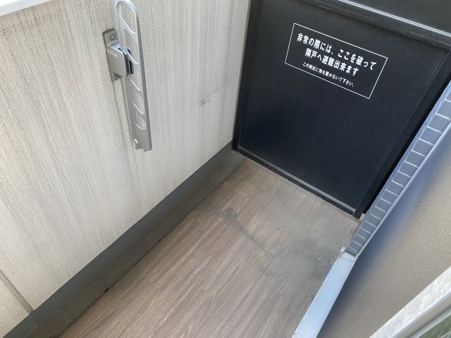 参考写真