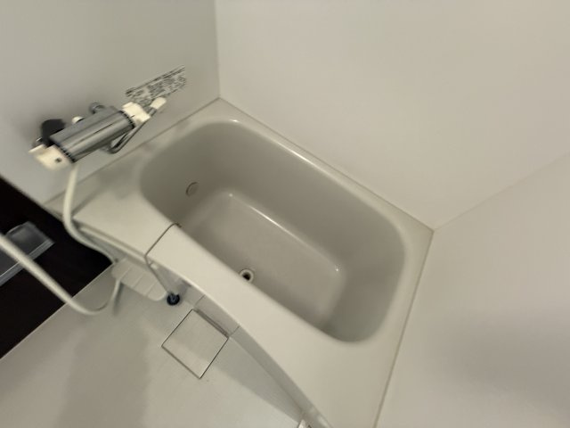 プラムハウスの浴室