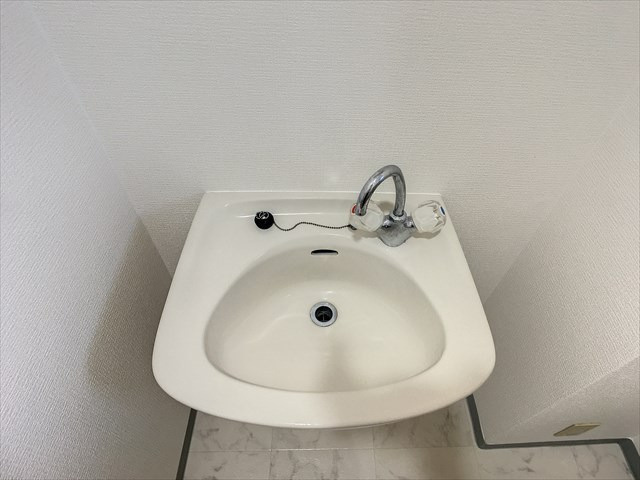 コンドミニアム高宮通り壱番館の洗面所