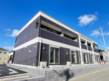 クラシアコリーナの画像