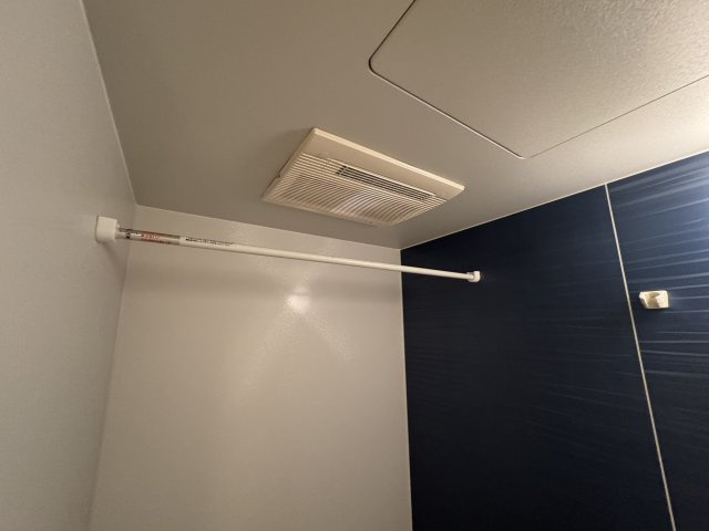アンジュのその他