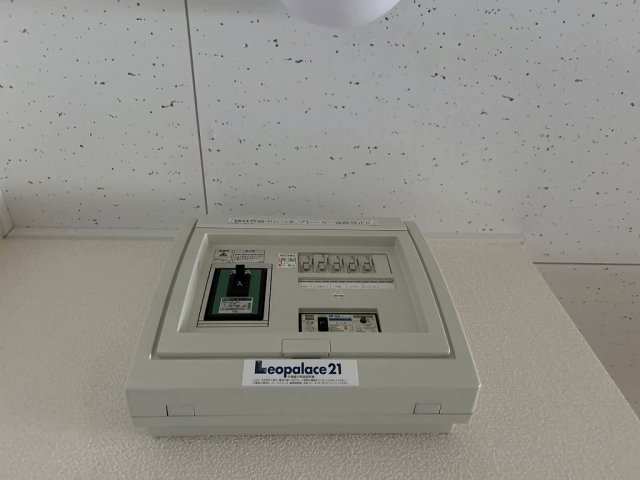 レオネクストブルーヴィラのその他