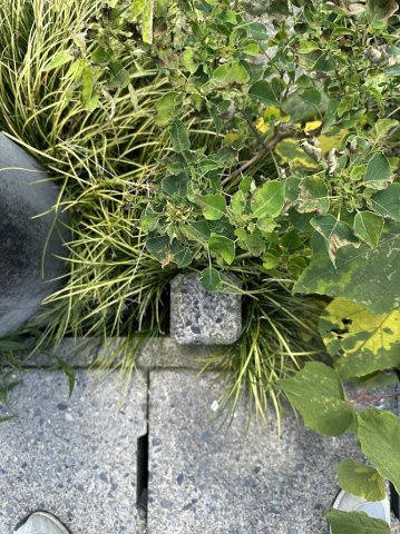 土地　東新町3丁目のその他