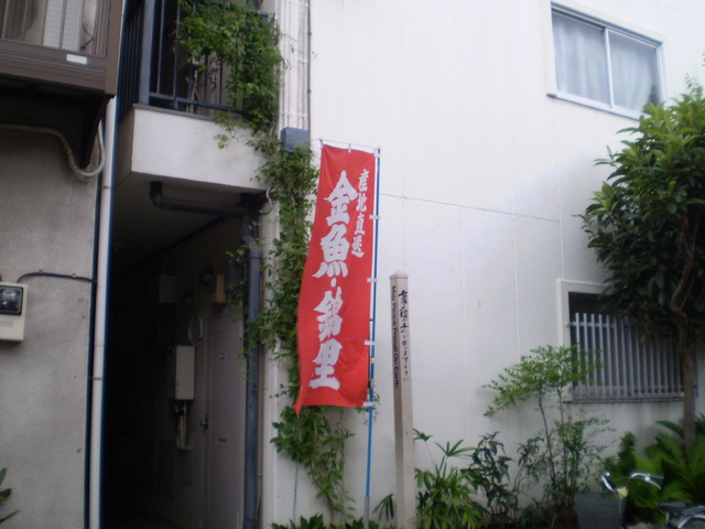 エンゼルマンションのエントランス