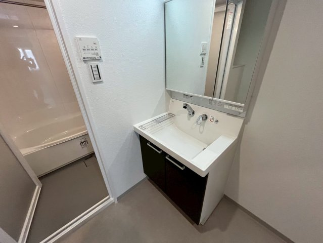 ドムスアシヤの洗面所