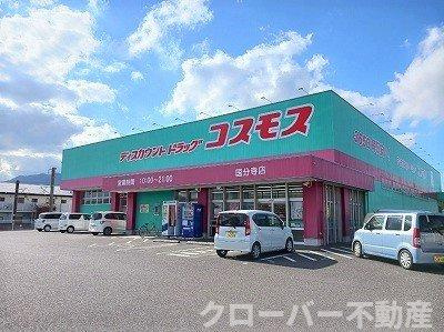 セレブレイト　ヒルズⅠの周辺|コスモス国分寺店　様まで400m