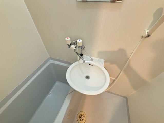 レオパレスル・ソレイユの洗面所