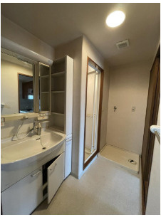 サーパス大東泉町の洗面所