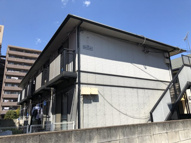 セトルコーエーの画像