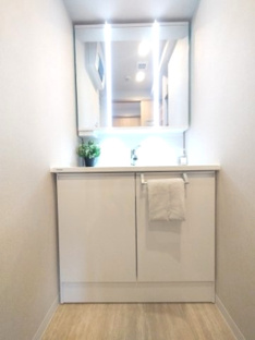 【独立洗面台】ダイアパレス南笹口 