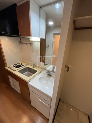 【独立洗面台】 | エステムコート心斎橋アルテール | エステムコート心斎橋アルテール　独立洗面化粧台