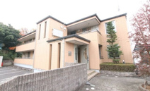 ＳＨＩＮＥ　ＨＩＬＬＳの画像