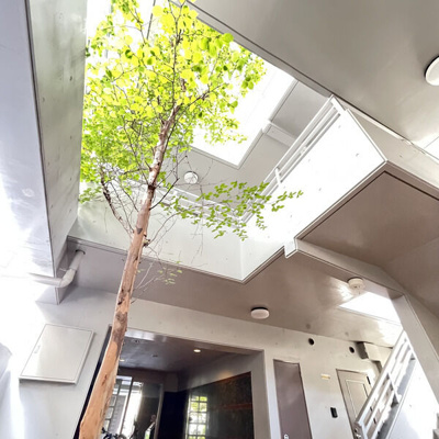 【その他】 | Add Wistaria 1