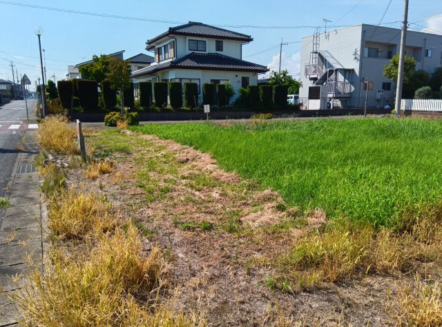 結城市新福寺4丁目の外観