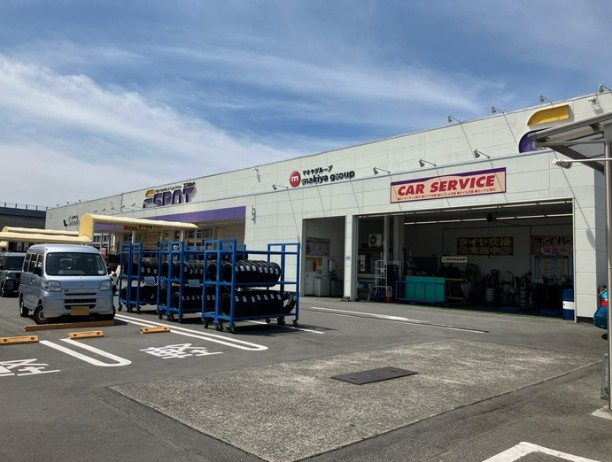 メイプルの周辺