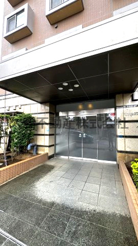 ダイアパレス鳩ヶ谷本町のエントランス|落ち着いたエントランスです